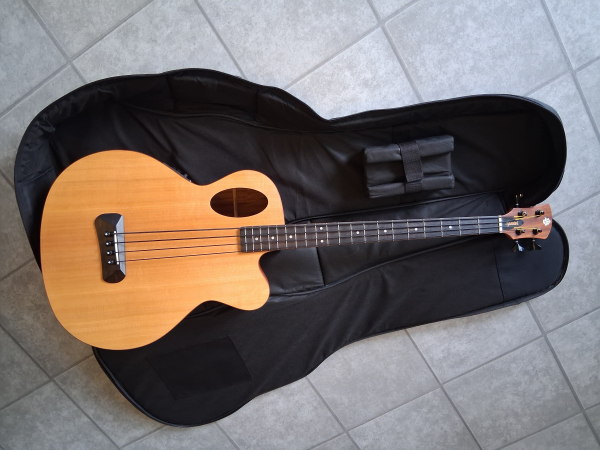 Spector Timbre TB-4 Akkustik Bass, massive Fichtendecke, Tonabnehmer, gebraucht